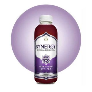 Gt's Synergy Kombucha Elderberry Juniper