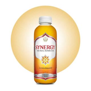Gt's Synergy Kombucha Gingerade