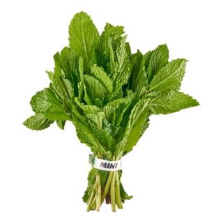 Mint Bunch