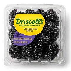 Blackberry 16oz Container