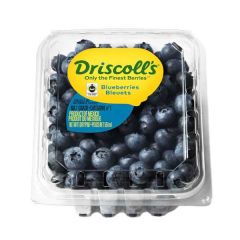 Blueberry 16oz Container