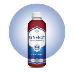 Gt's Synergy Kombucha Gingerberry