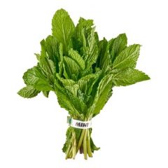 Mint Bunch 