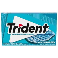 Trident Wintergreen SF Chewing Gum 14 Sticks